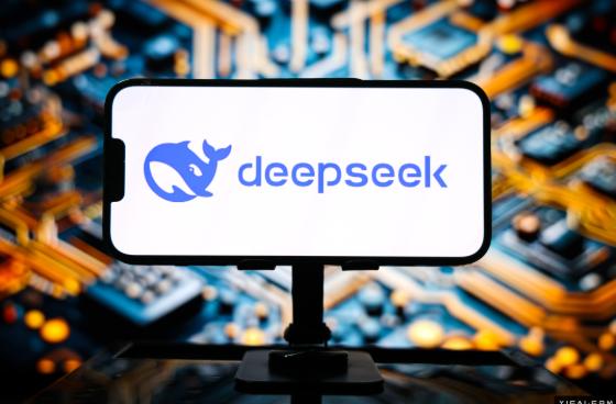 DeepSeek如何重塑中国大模型产业生态｜海斌访谈